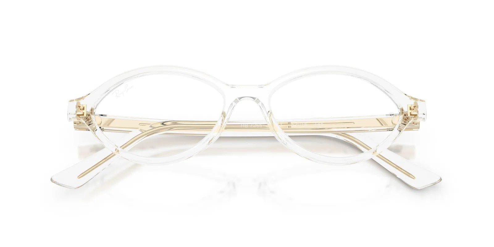 Ray-Ban 7265 Eyeglasses - view 50